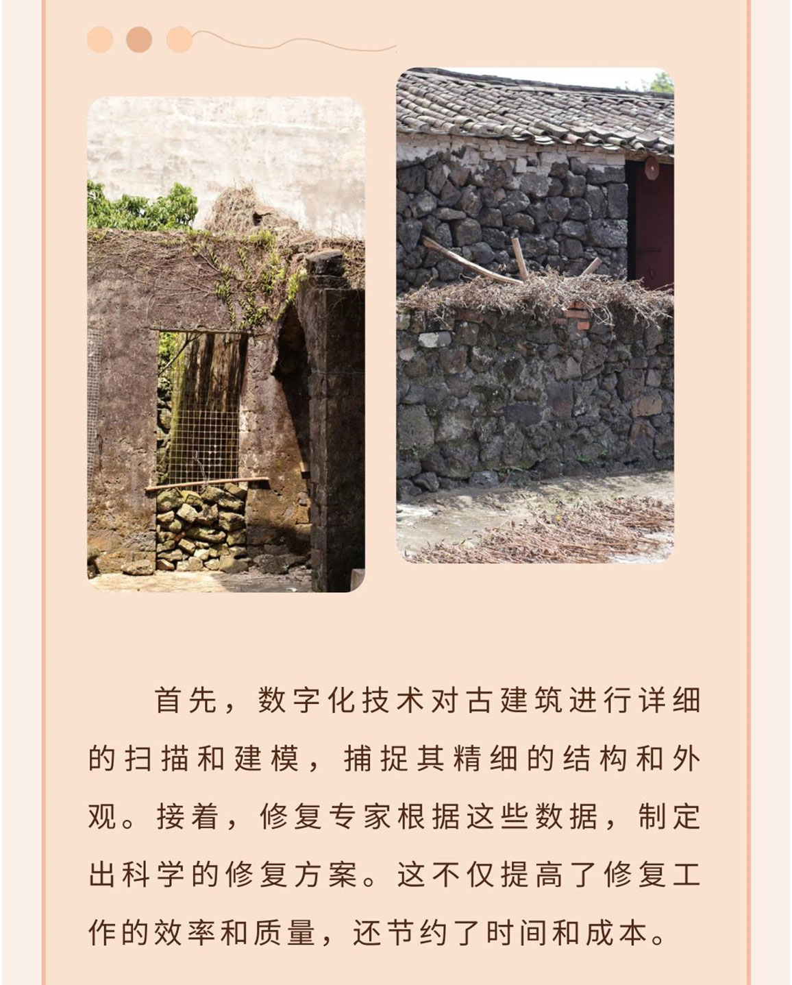 美社数字化_1_11.jpg