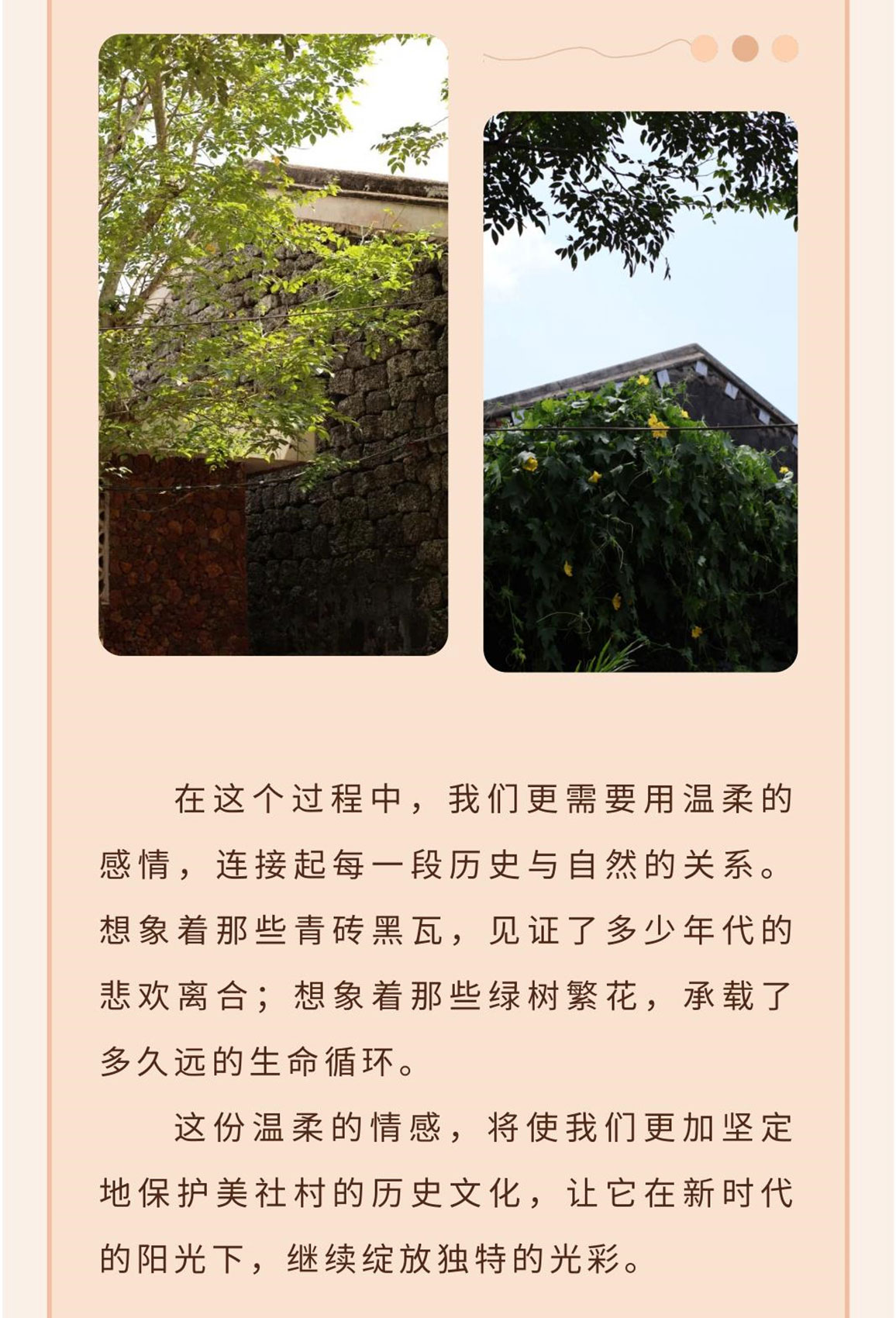 美社数字化_1_14.jpg
