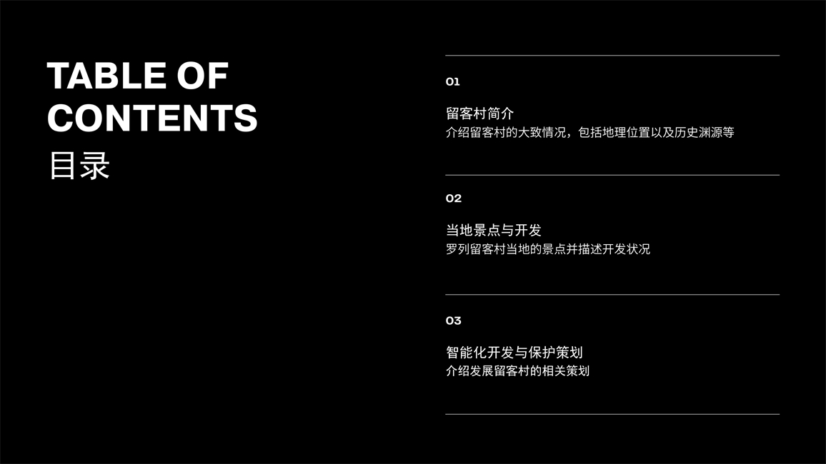 2011501073鲁力留客村策划数字化_2.jpg