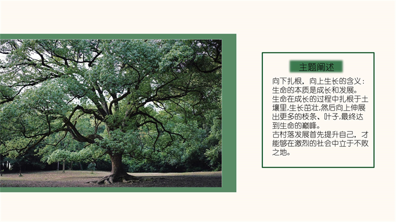 2011501023刘小倩-石石矍村(1)数字化_2.jpg