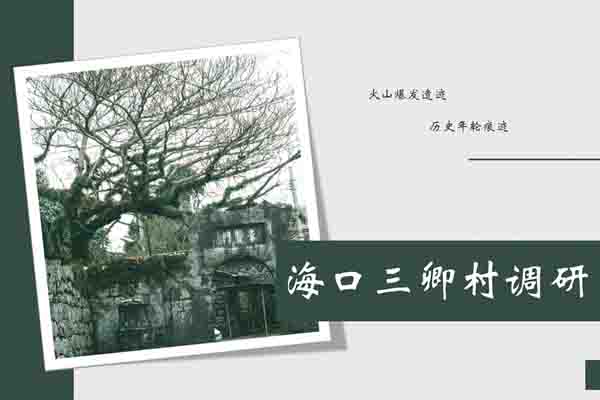三卿村数字化