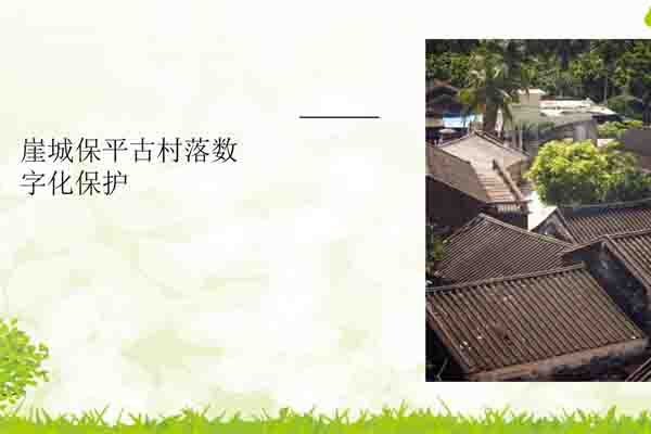 保平数字化