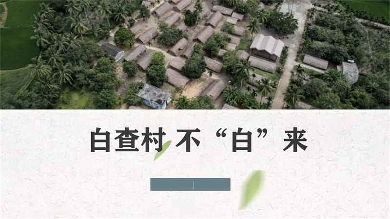 1811320066陶然-白查村数字化_1.jpg