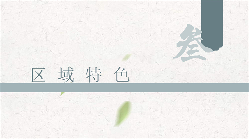 1811320066陶然-白查村数字化_8.jpg