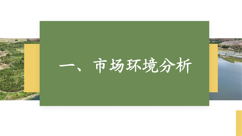 2011501040姜芷怡-白查村文宣_4.jpg