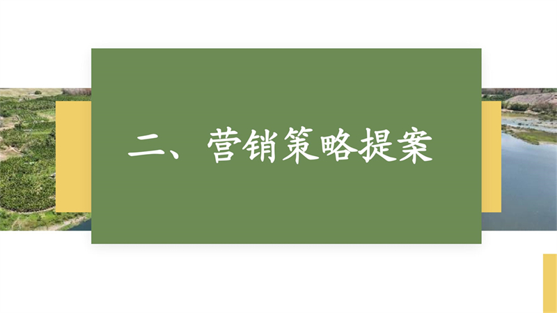 2011501040姜芷怡-白查村文宣_13.jpg