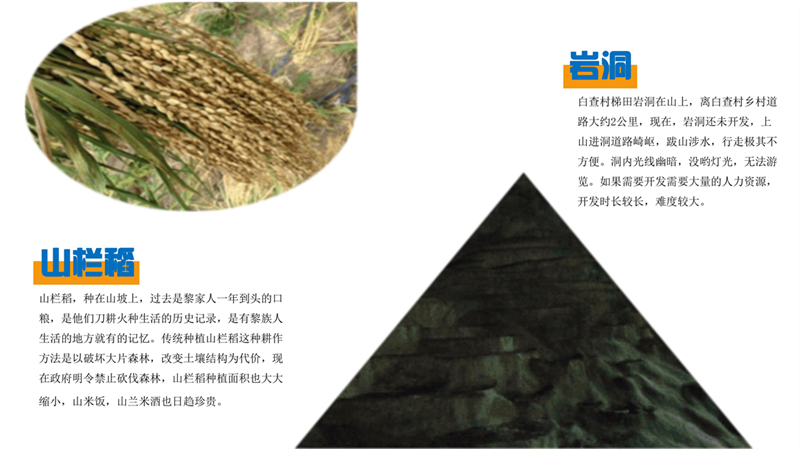 第5组东方白查_10.jpg