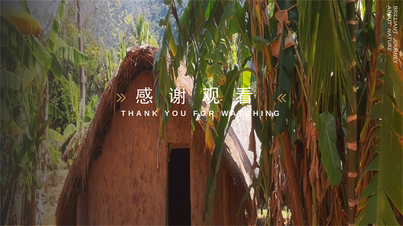 第5组东方白查_26.jpg
