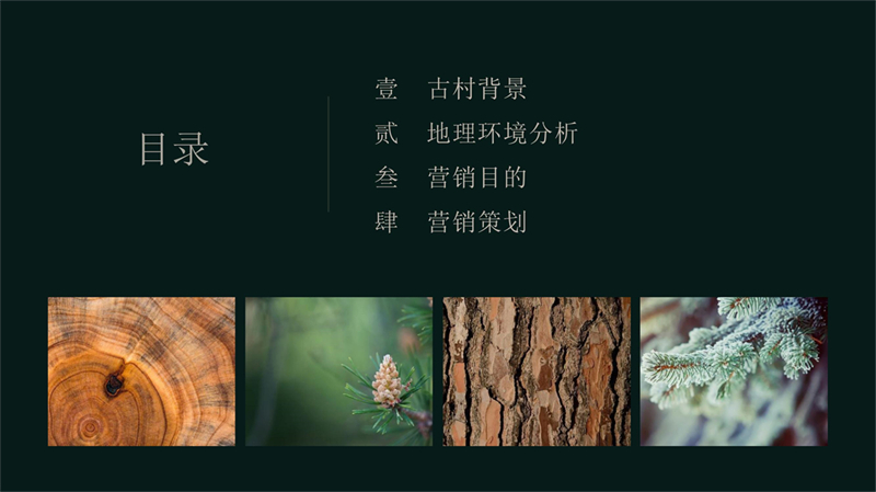 2011501015陈红-初保村_3.jpg