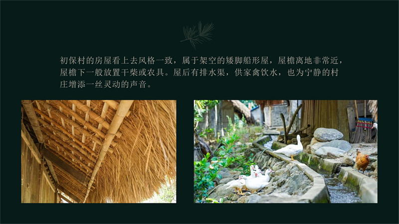 2011501015陈红-初保村_7.jpg