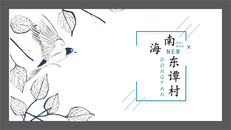 海口市东谭村_1.jpg