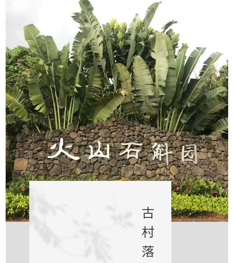 施茶村_1_01_01.jpg
