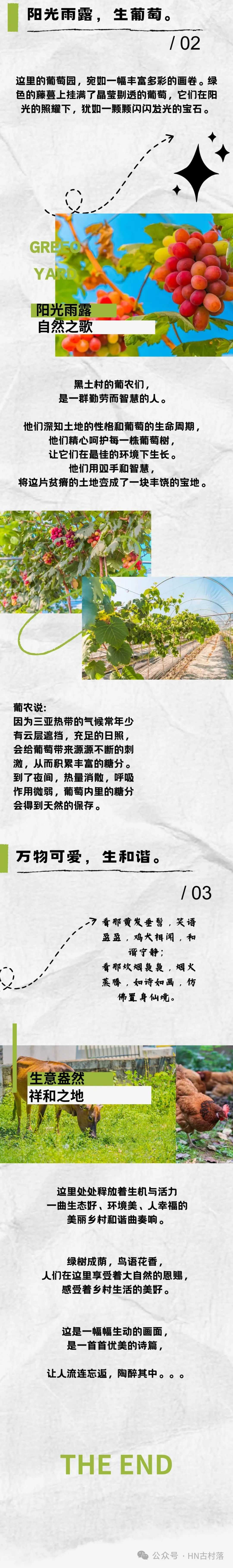1 (10).jpg