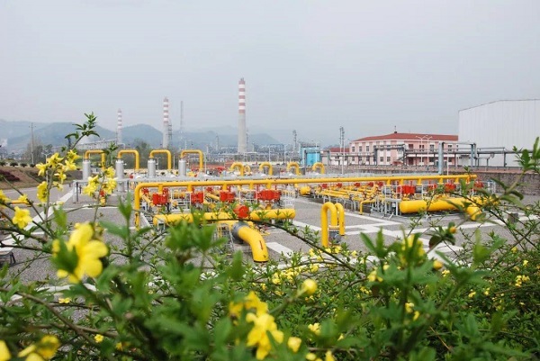 102011.jpg