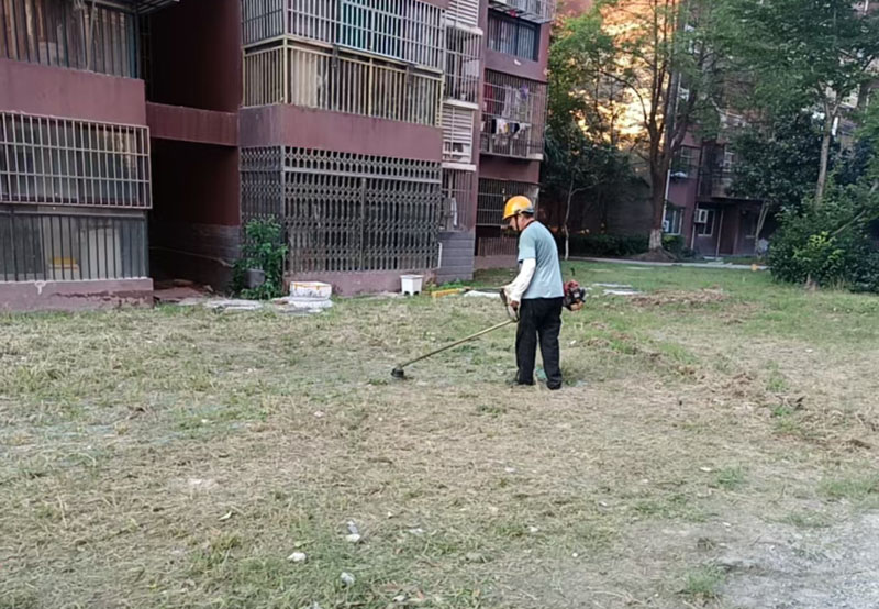 20260814104730_27125.jpg 3.jpg
