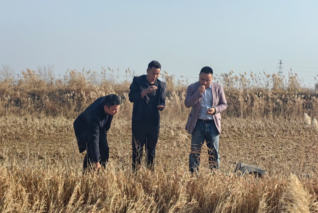 蒸谷食品董事长严伟龙赴宁夏考察原粮基地，布局富硒蒸谷米