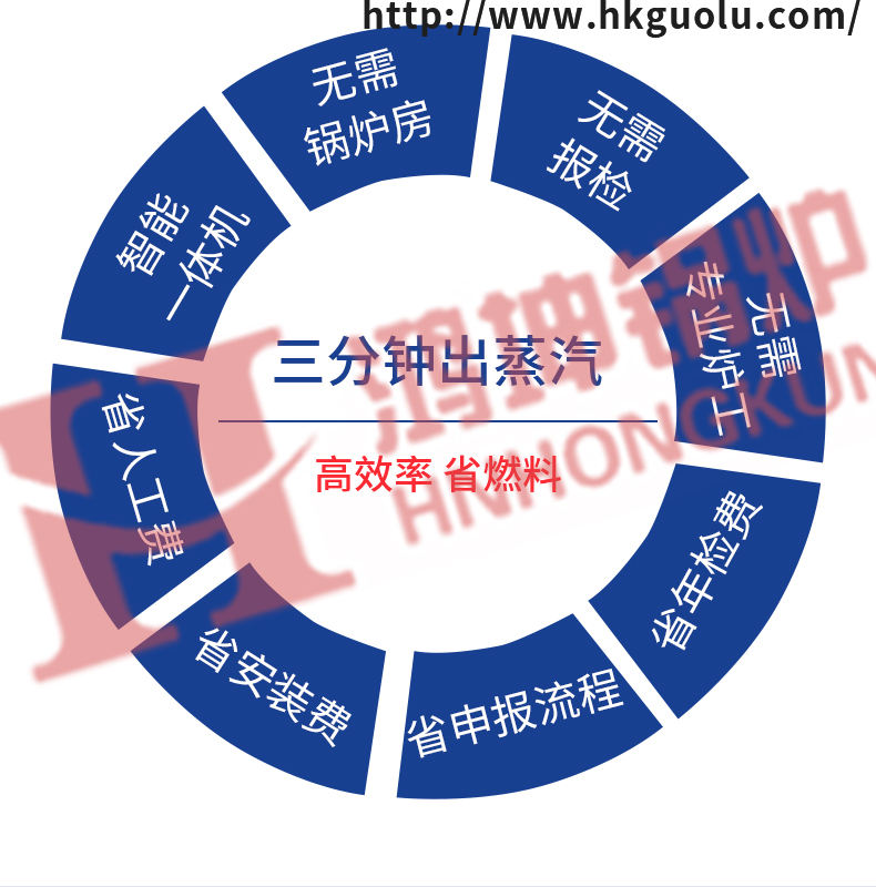 燃油燃气蒸汽发生器_05.jpg