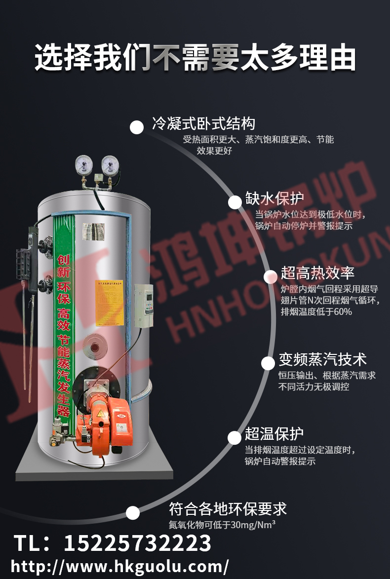 燃油汽蒸汽发生器_03.jpg