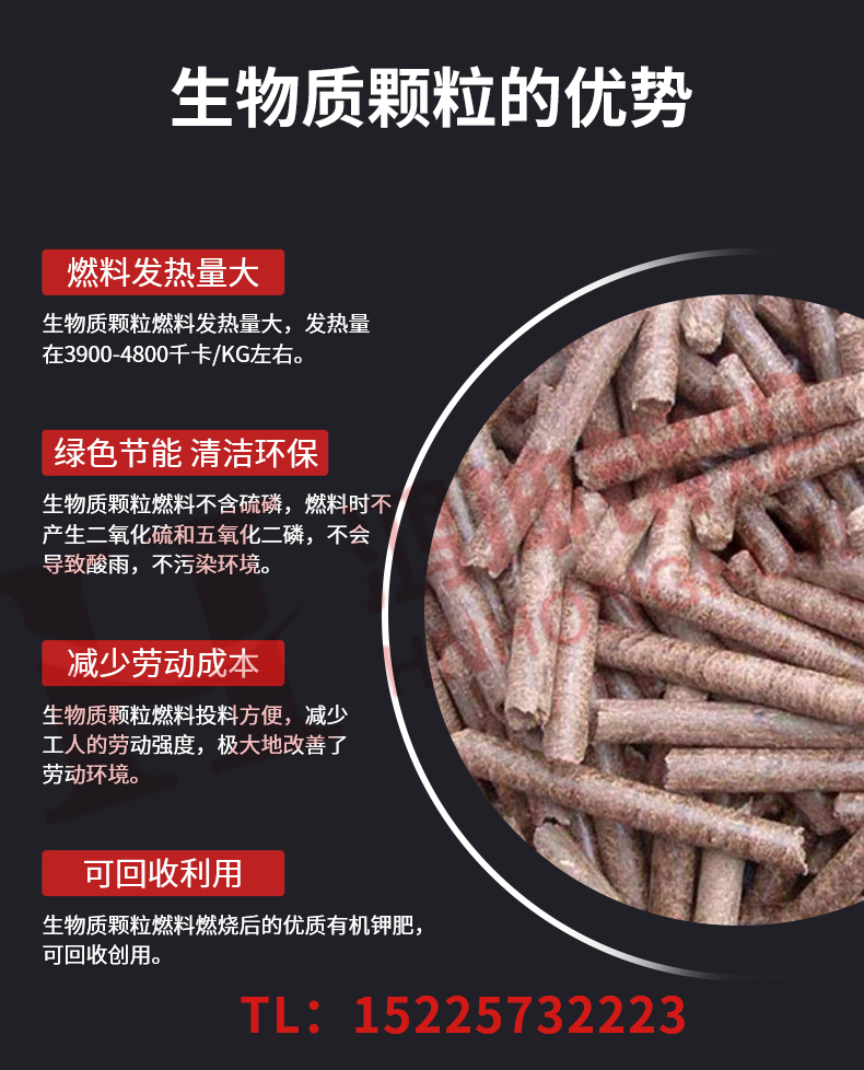 生物质蒸汽锅炉_04.jpg