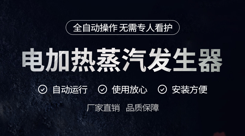 电加热蒸汽发生器2_01.jpg