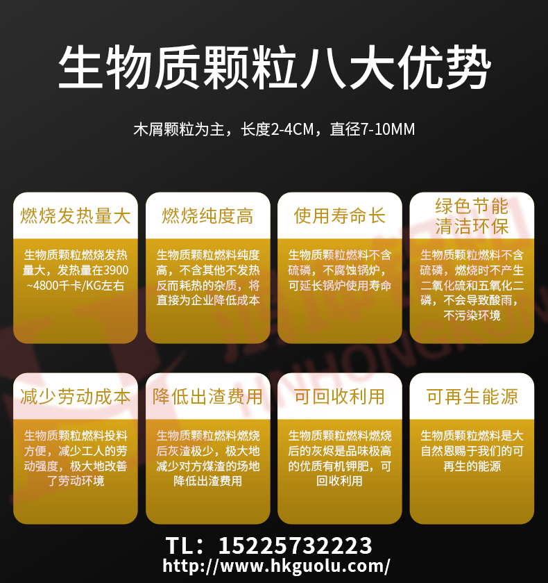 生物质导热油锅炉_06.jpg