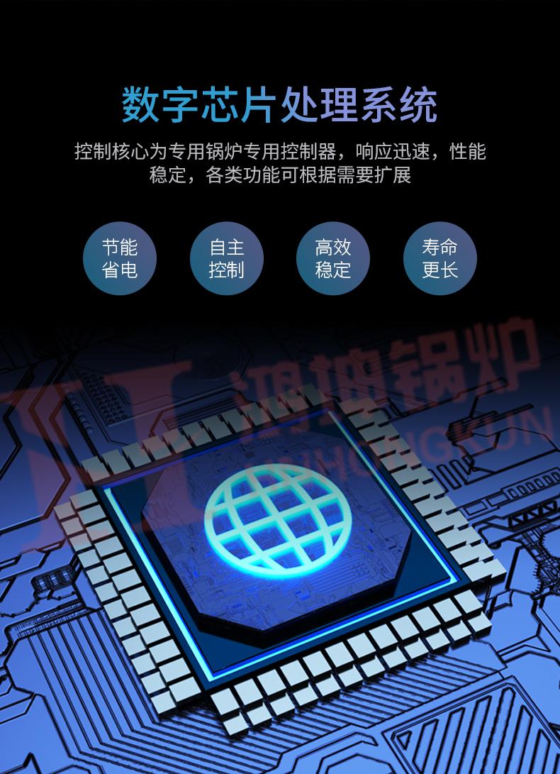 大型电加热蒸汽发生器_08.jpg