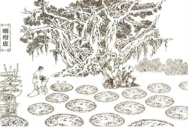 1684465611175(1).png