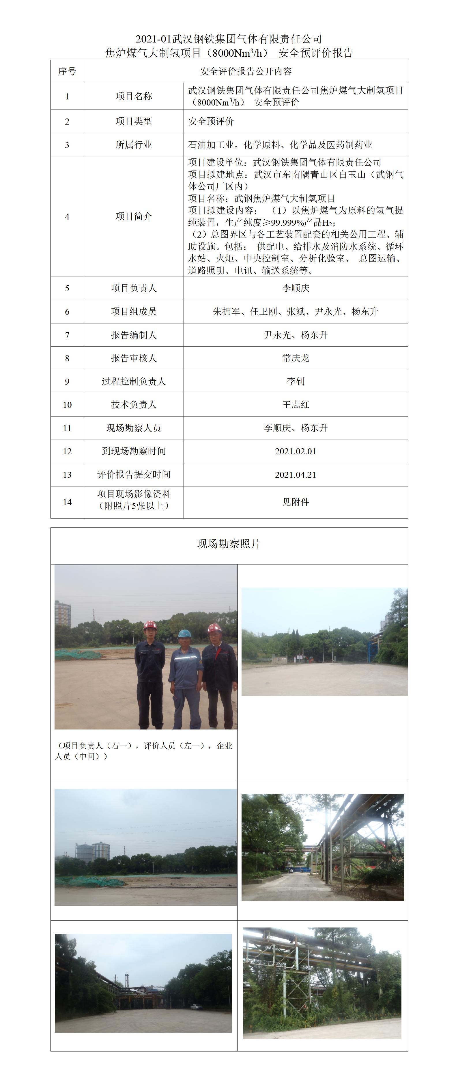 武钢气体大制氢项目预评价公开_01.jpg