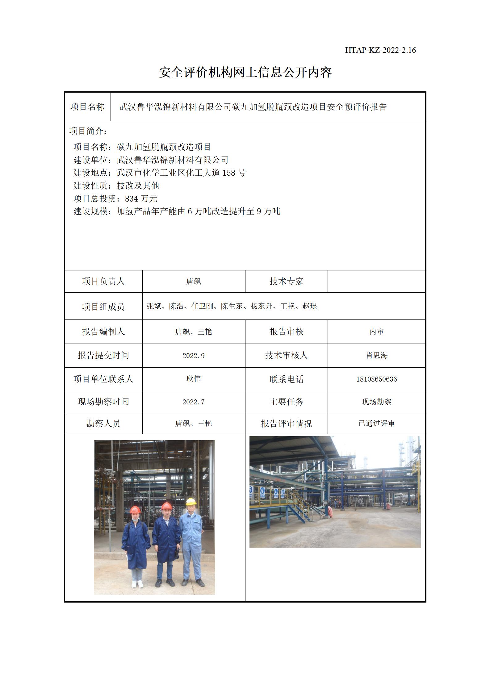 安全评价机构网上信息公开-武汉鲁华泓锦新材料有限公司碳九加氢脱瓶颈改造项目_01.jpg
