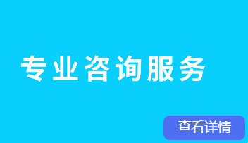 专业咨询服务.png