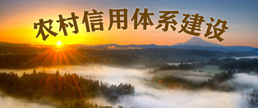 我国农村信用体系建设的基本模式及政策建议
