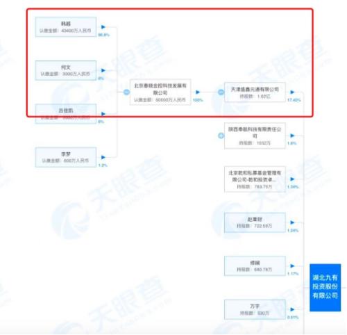 上市公司ST九有4.jpeg