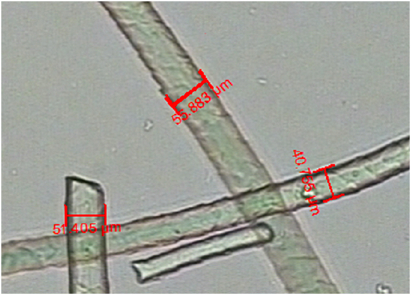1719046344336.jpg