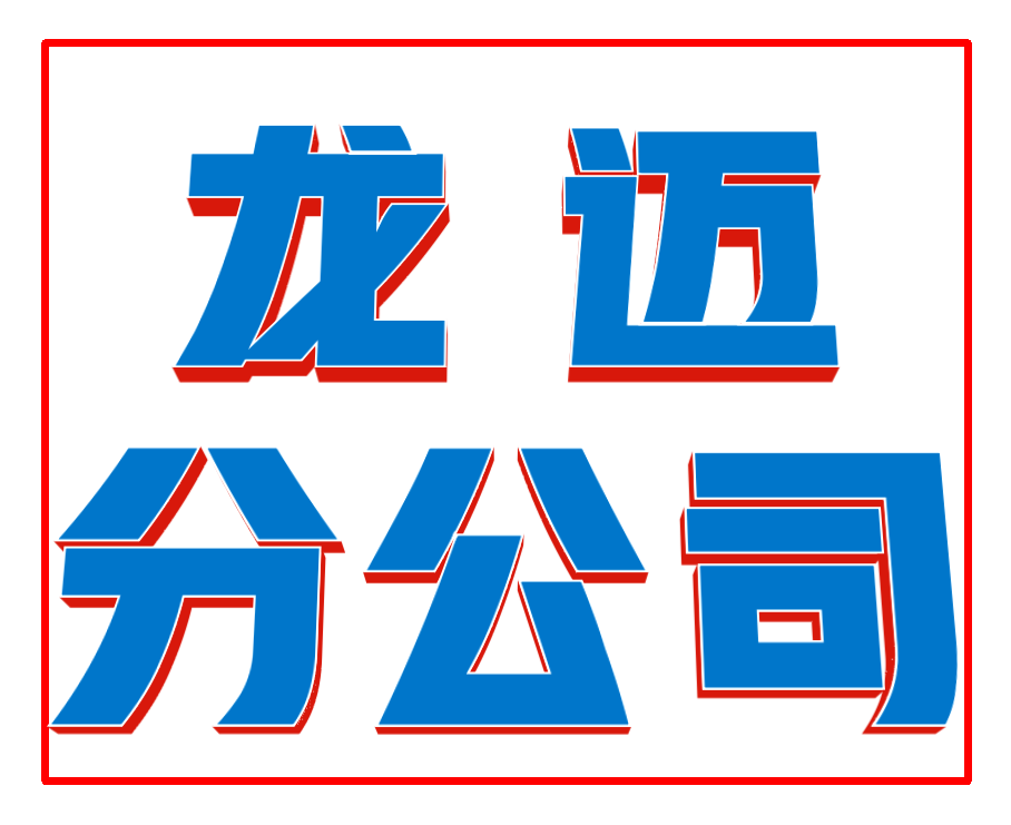 龙迈分公司