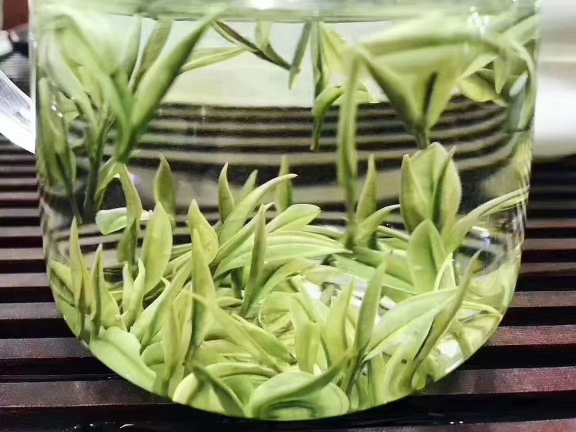 女儿茶是泰山特有绿茶品种，因板栗香显著被载入《中国茶产区志》