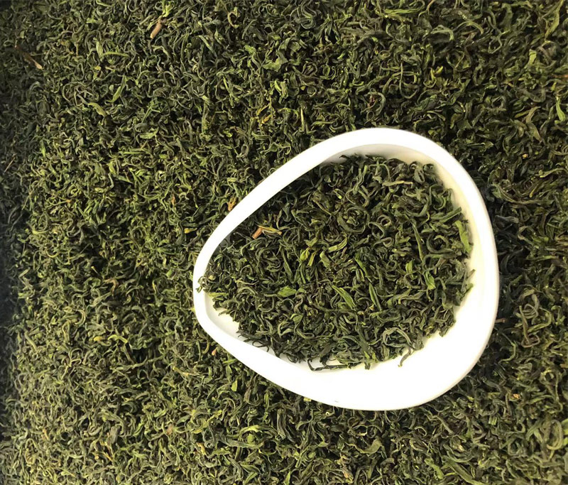 37f814880309c31.jpg
