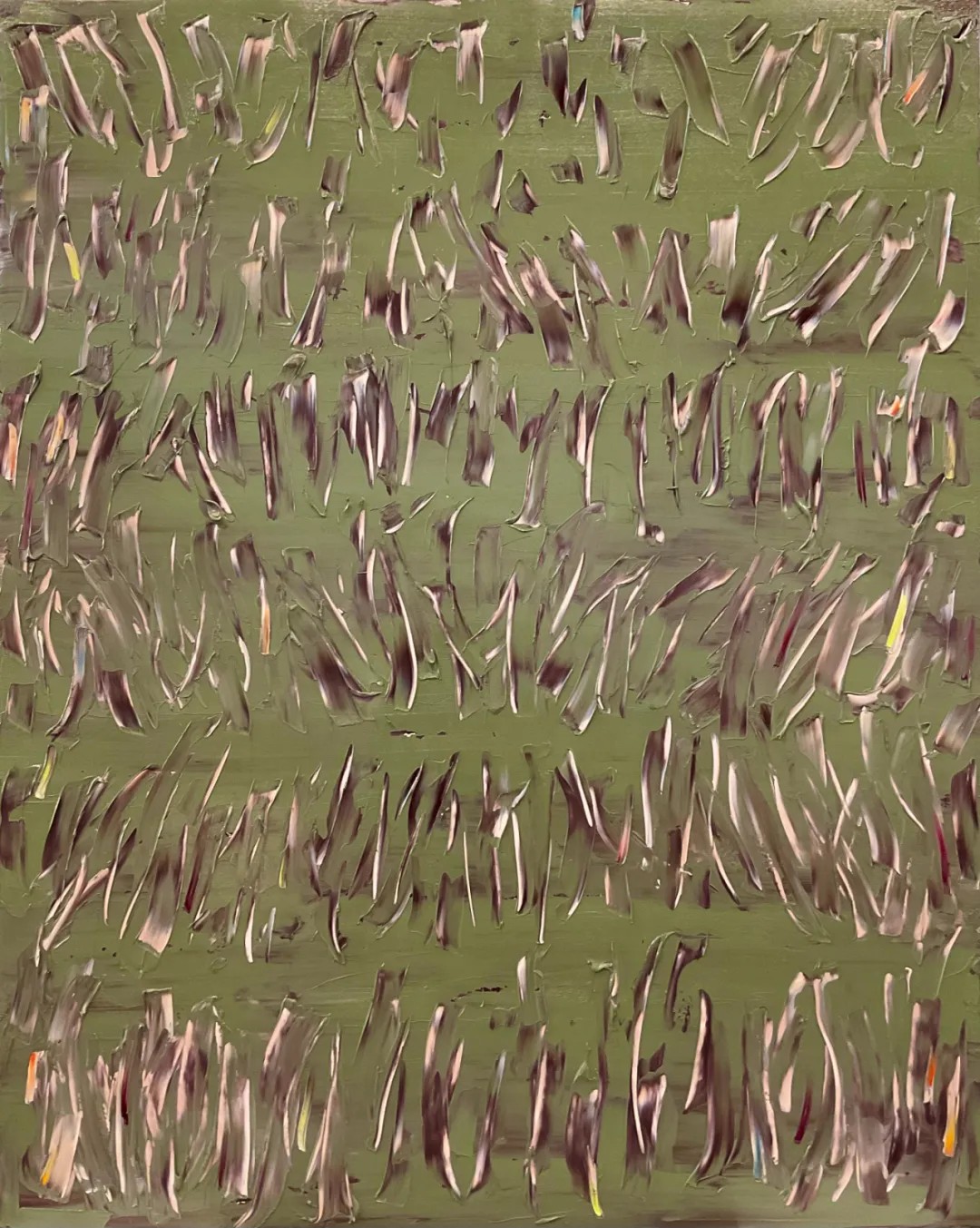 20250612164830_67237.jpg