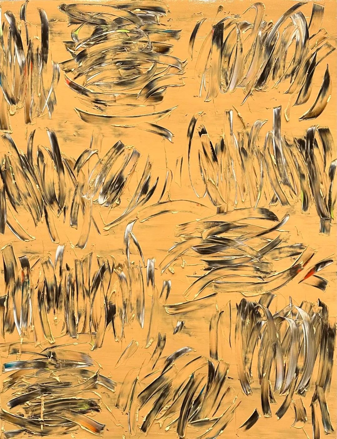 20250612164841_42579.jpg