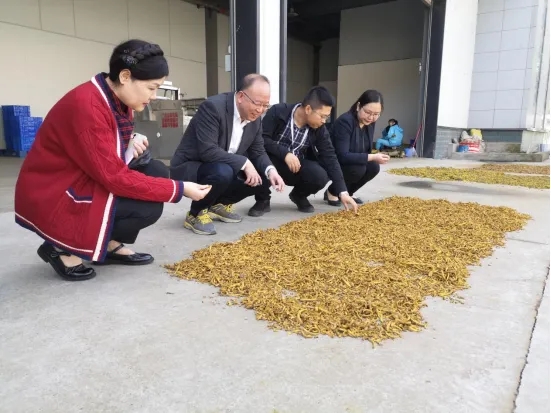 绵阳市科技服务工作组赴北川督导天府科技云工作