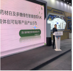 2021年绵阳举办“科创会”