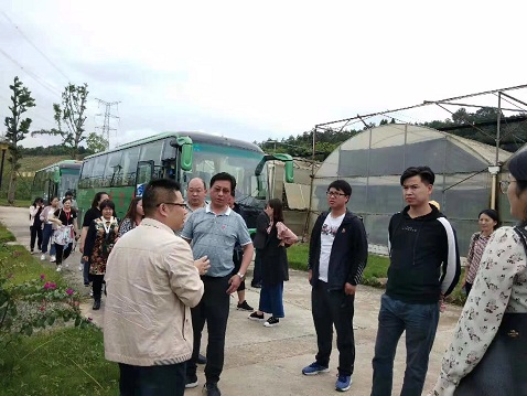 雅江县统战部兰海深部长一行莅临公司考察