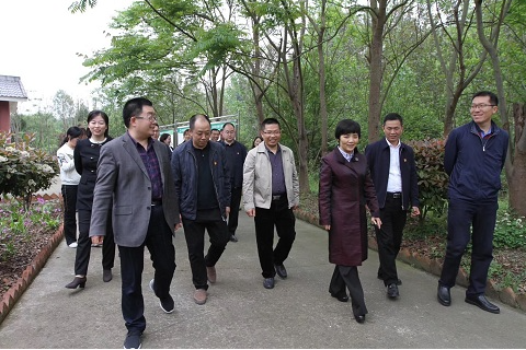 省委组织部领导莅临公司考察