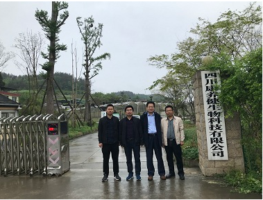 东北师范大学杨海军教授一行莅临公司考察调研