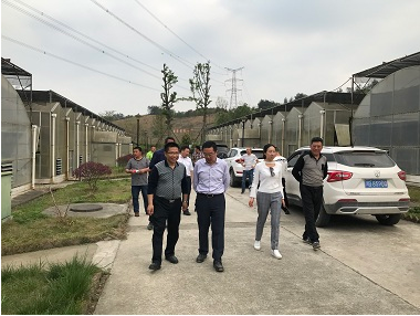 县人大李主任一行莅临公司考察学习