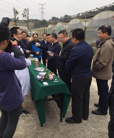 绵阳市人民政府代市长元方莅临公司考察