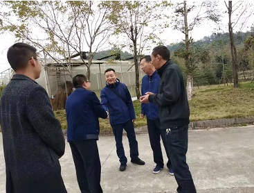 衢州柯城区农科院一行到公司调研