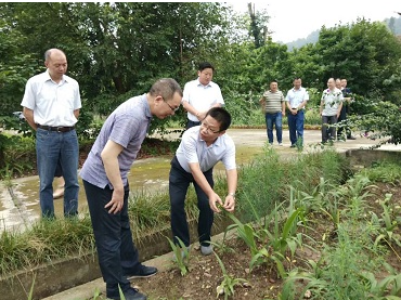 绵阳市政府罗宗志副市长莅临公司考察调研