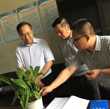 市人大黄主任、市政协钟主席一行莅临公司考察