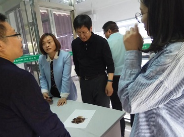 成都中医药大学张艺院长、太极集团吴用彦总工一行莅临公司考察