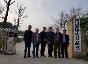 成都中医药大学民族医药学院张院长一行莅临公司白及基地考察